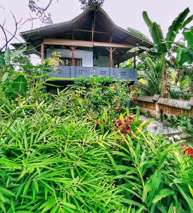 Sumatra Orangutan Discovery Villa Bukit Lawang Exteriér fotografie