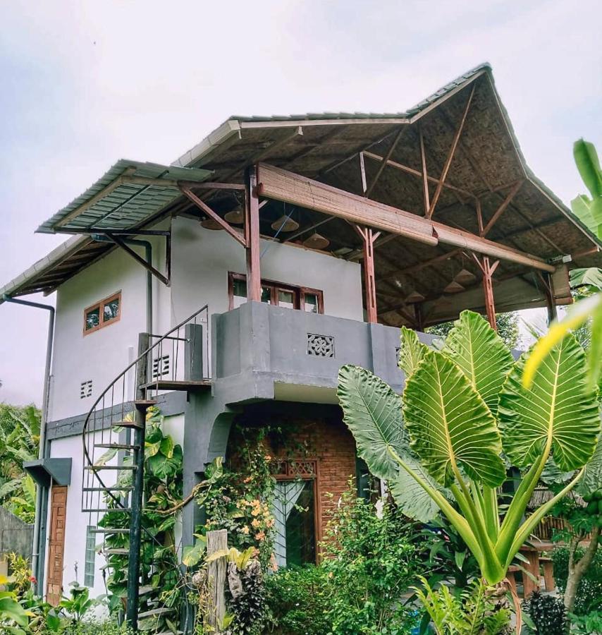 Sumatra Orangutan Discovery Villa Bukit Lawang Exteriér fotografie