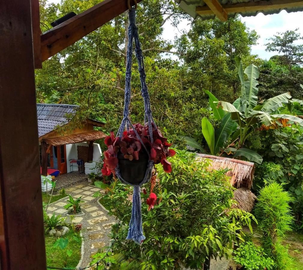 Sumatra Orangutan Discovery Villa Bukit Lawang Exteriér fotografie