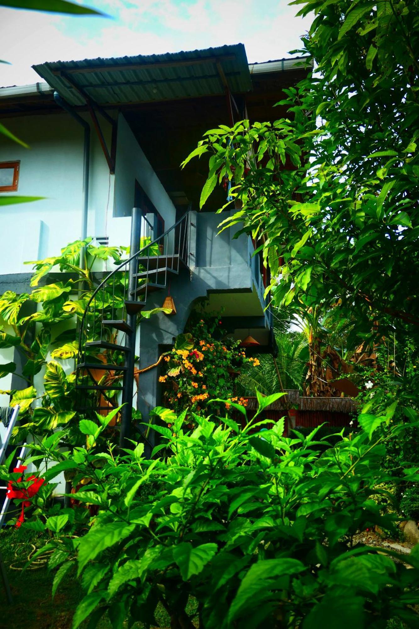 Sumatra Orangutan Discovery Villa Bukit Lawang Pokoj fotografie